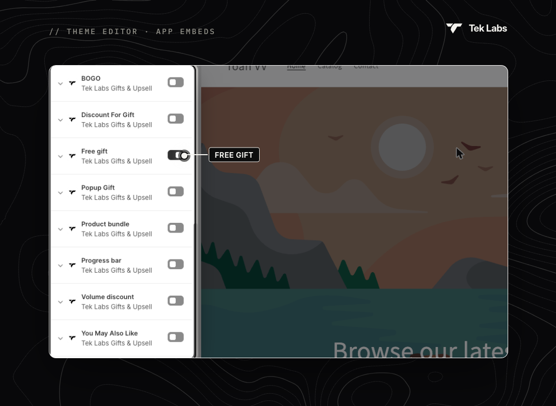App embeds in the Shopify theme editor